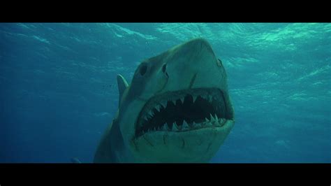 Jaws: The Revenge Blu-ray Review - DoBlu.com