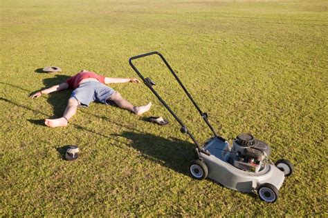 Reap The Benefits Of A Creeping Thyme Lawn