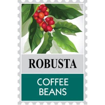 Robusta Coffee Bean & Ground Coffee (500g) - Mister Coffee