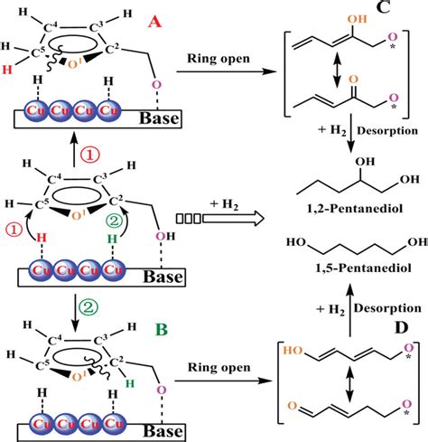 Reaction mechanism of furfural hydrogenolysis over CuMgAl−MMO catalysts ...