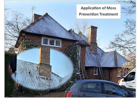 Moss Treatment for Roofs