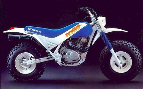 THE PERFECT HONDA FAT CAT 650 - Dirt Wheels