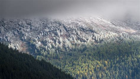 FIRST SNOW IN THE ALPS on Behance