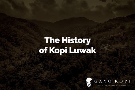 The History of Kopi Luwak - Gayo Kopi Luwak