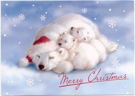 CHRISTMAS IN APRIL – a cute card | Polar bear, Christmas images and Bears