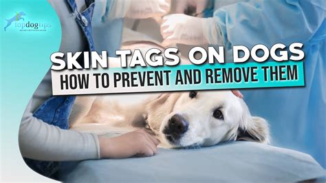 How Do You Remove A Skin Tag From A Dog