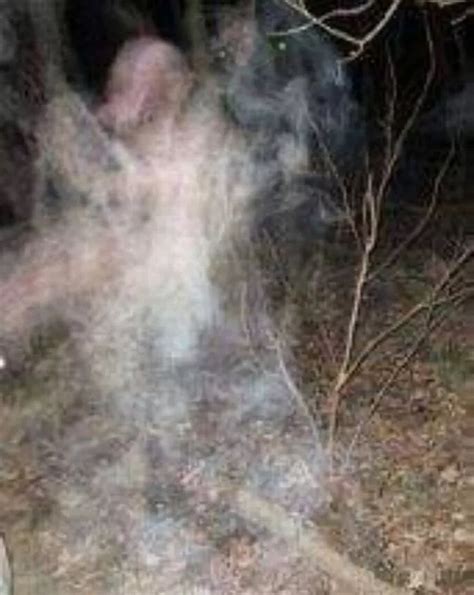 Sinister 'ghost' captured on film at Berry Pomeroy Castle - Devon Live