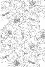 Coloring Pages For Teens  Best Kids sketch template