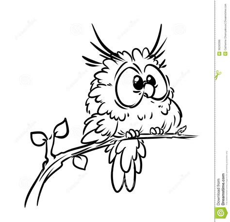 Owl Pencil Drawing at GetDrawings | Free download