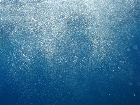 Free Underwater Bubbles Stock Photo - FreeImages.com