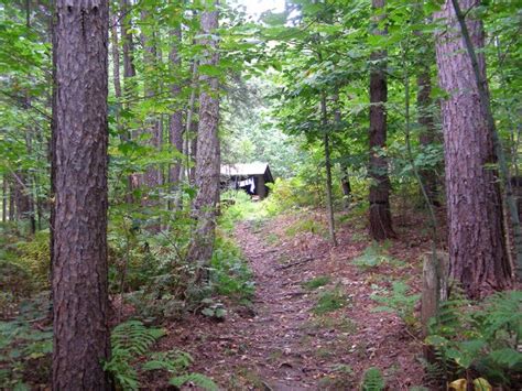 Best Vermont Campground: Coolidge State Park