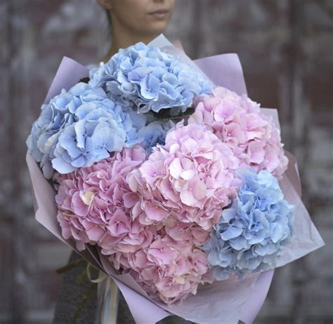 Bouquet of Hydrangeas - Bloom de Fleur - Bouquets, flowers, order and buy a bouquet in Cyprus