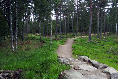 Tarland Trails Mountain Bike Trail in Tarland, Scotland || SINGLETRACKS.COM