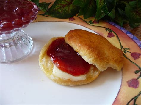 Wild Plum Jam (with Pictures) - Instructables