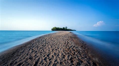 Point Pelee National Park (Lake Erie, Canada) - backiee