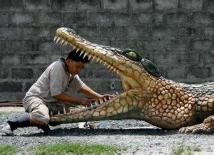 Crocodile and the Plover Bird – SmallScience