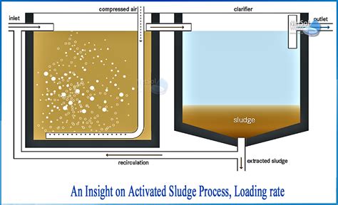 Activated Sludge Process