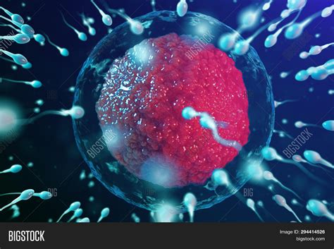 3d Illustration Sperm Image & Photo (Free Trial) | Bigstock