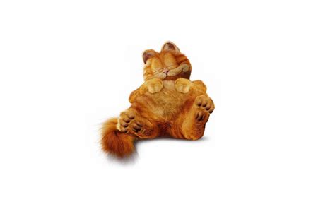 [100+] Garfield Wallpapers | Wallpapers.com