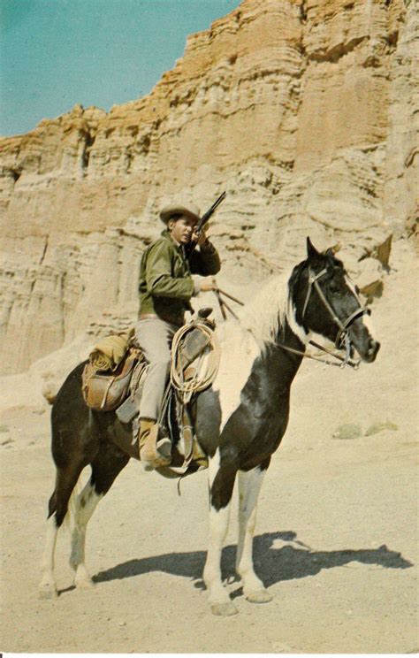 Bonanza TV Actor Michael Landon on Pinto Horse Cochise Cowboy Postcard | eBay | Little Joe ...