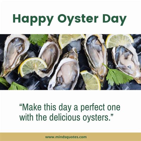 32+ BEST National Oyster Day Quotes, Wishes & Messages