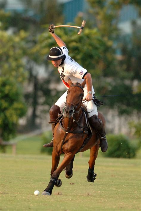 FREE POLO PHOTOGRAPHS TO DOWNLOAD -- www.argentinapolo.com