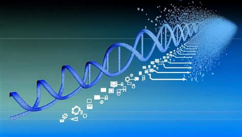 Practical Guide: Using Evolutionary Computation Techniques in Applications - Algorithm Examples