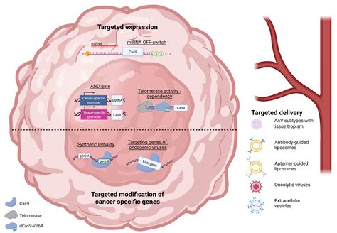 IJMS | Free Full-Text | Targeting Cancer with CRISPR/Cas9-Based Therapy