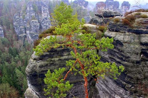 THE TOURISTIN: Visit the Saxon Switzerland National Park