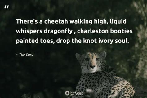 25 Cheetah Quotes to Inspire Agility and Adaptability