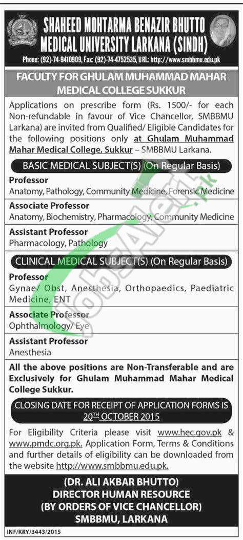 SMBBMU Larkana Jobs Application Form 2015 Latest Advertisement