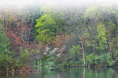 Celebrating 100 years of Michigan State Parks - Gr8LakesCamper