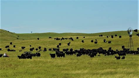 Knievel Nebraska Sandhills Farm & Ranch For Sale