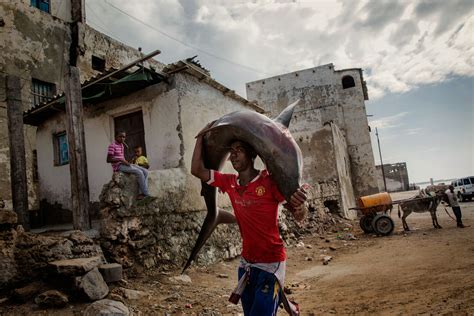 Witness Somalia's Resilience After Decades of War | Time