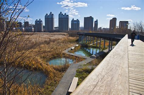 Gallery of Qunli Stormwater Wetland Park / Turenscape - 5