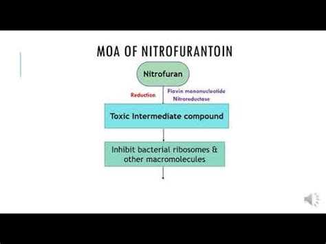 MOA of Nitrofuran - YouTube