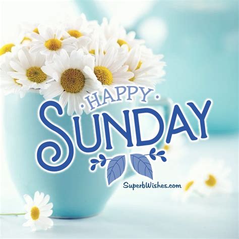 Happy Sunday With Beautiful Flowers Image | SuperbWishes.com