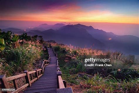 906 Alishan National Scenic Area Stock Photos, High-Res Pictures, and Images - Getty Images