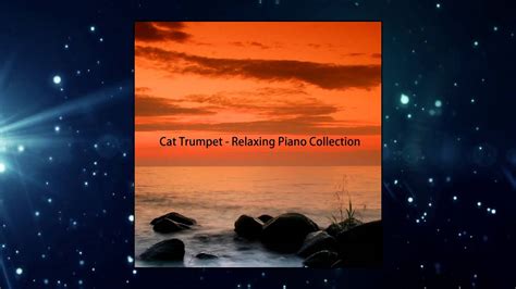 Cat Trumpet Improvisation #3 (Relaxing Piano Collection) - YouTube