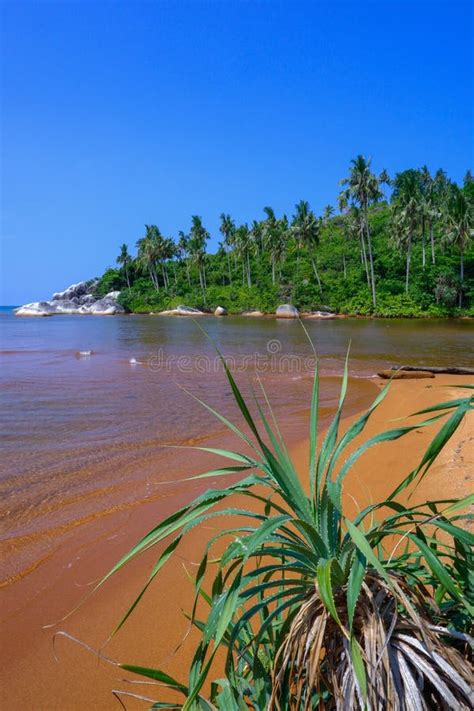 Natuna Island stock image. Image of marine, island, beauty - 247953663