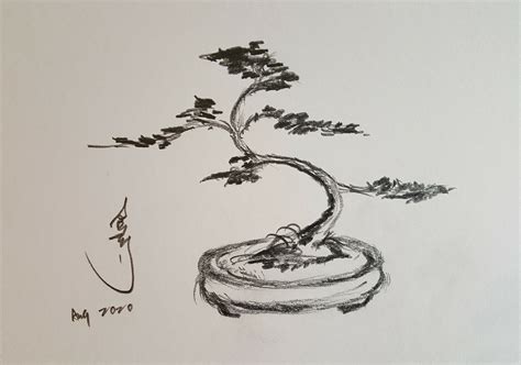 Japanese Bonsai Trees Drawing