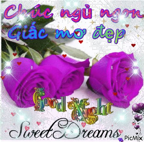 Chúc Ngủ Ngon | Good night sweet dreams, Good night gif, Beautiful love ...