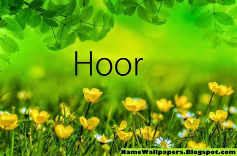 Hoor Name Wallpapers Hoor ~ Name Wallpaper Urdu Name Meaning Name Images Logo Signature