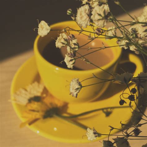 a different version | Yellow aesthetic, Yellow aesthetic pastel, Yellow ...