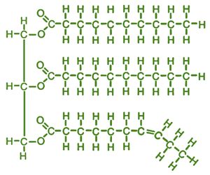 What are Lipids? - Structure, Classification, Properties, Functions - GeeksforGeeks