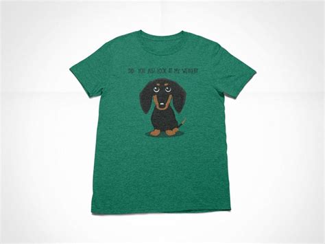 Did You Just Look at My Weiner Shirt Funny Weiner Dog Shirt - Etsy