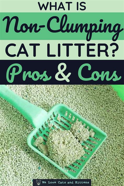 What’s the Best Cat Litter: Clumping vs Non Clumping litter?