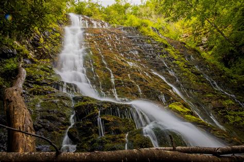 The 6 Best Great Smoky Mountains Waterfalls and Swimming Holes