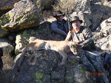 USA: Dry Ground Mountain Lion Hunt With Seven Anchor Outfitters | AfricaHunting.com