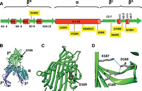 Novel Abetalipoproteinemia Missense Mutation Highlights the Importance of the N-Terminal β ...